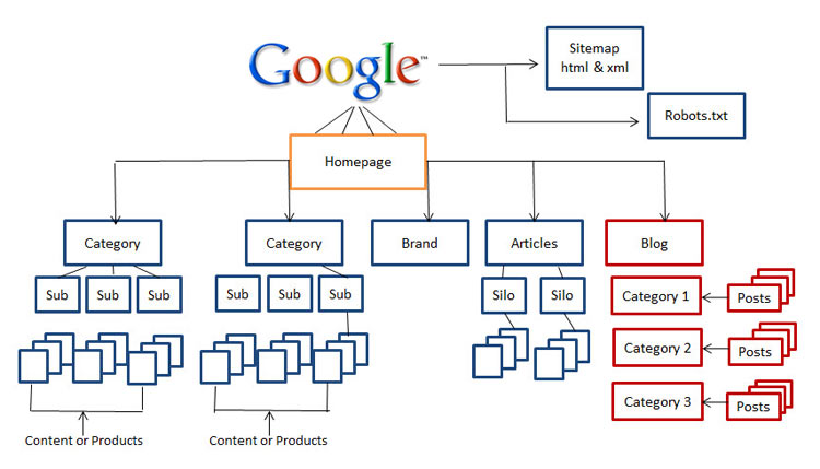 Website Architecture - Alecan Marketing